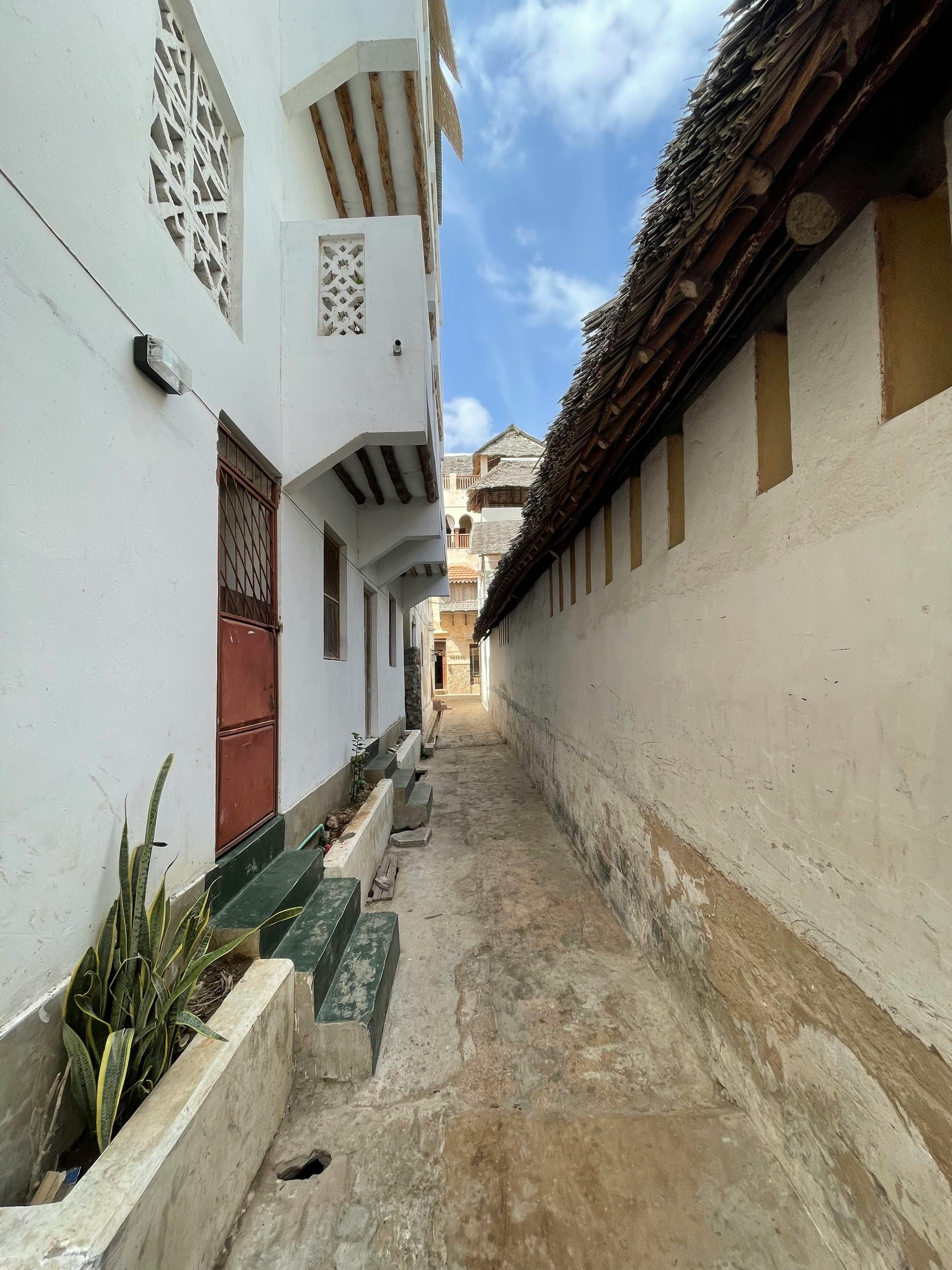 Evento cultural en Lamu